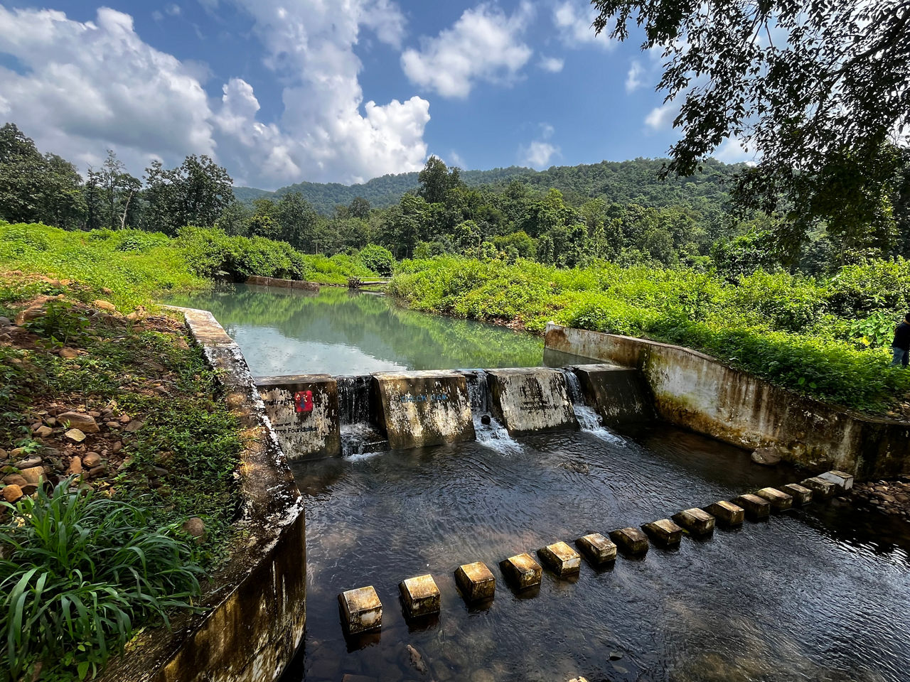 Check dam improves agricultural outcome, empowers farmers in Odisha